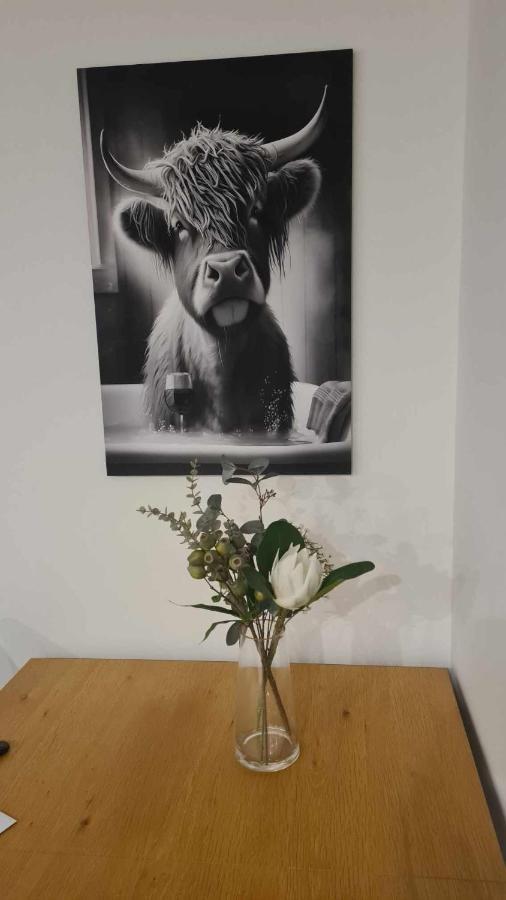 Elegant Cbd Apartment Christchurch Esterno foto